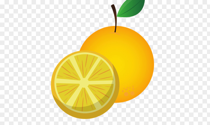 Lemon Mandarin Orange Tangerine Citron PNG