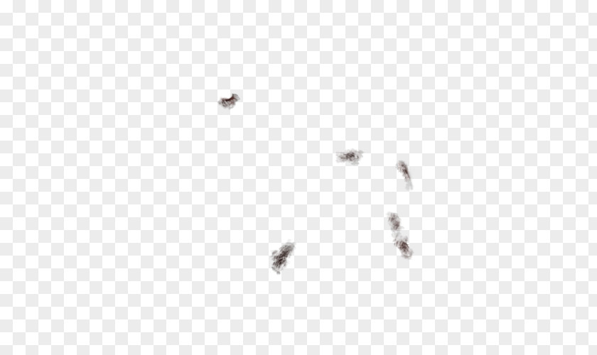 Line Pest Insect Membrane Font PNG