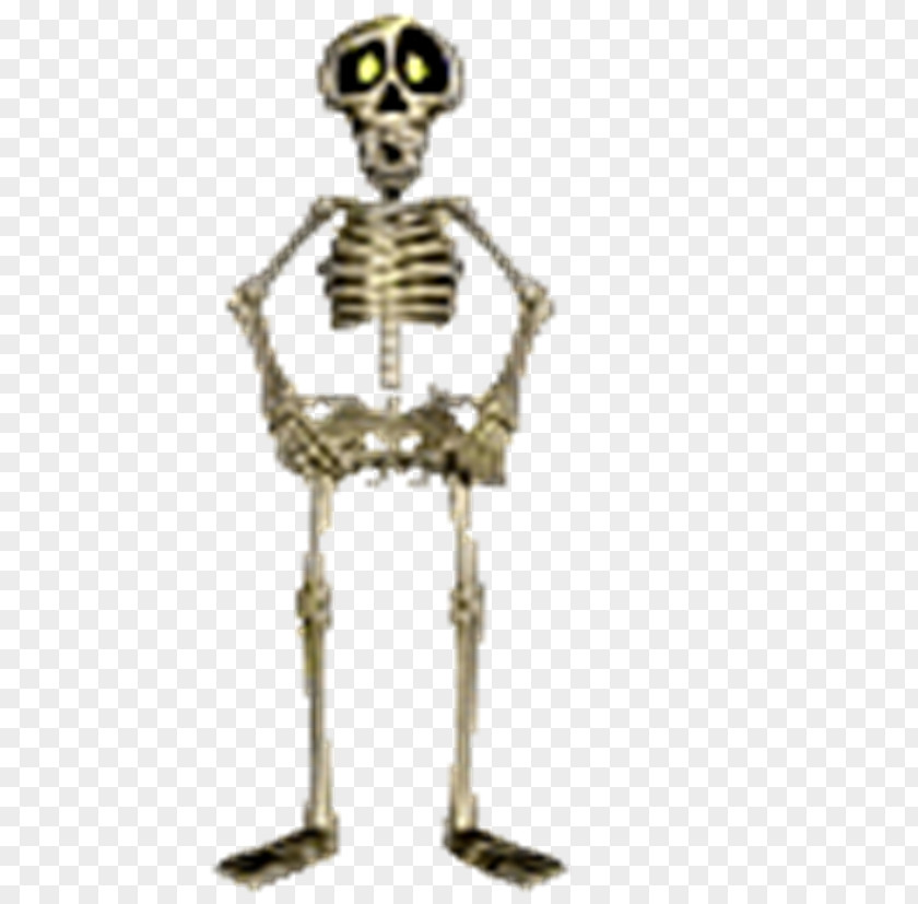 Skeleton Human Animaatio Bone PNG