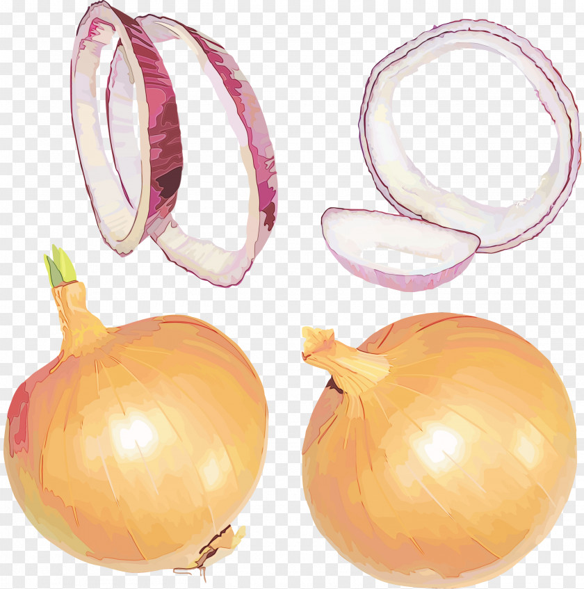 Amaryllis Family Pearl Onion Yellow Vegetable Plant Allium PNG