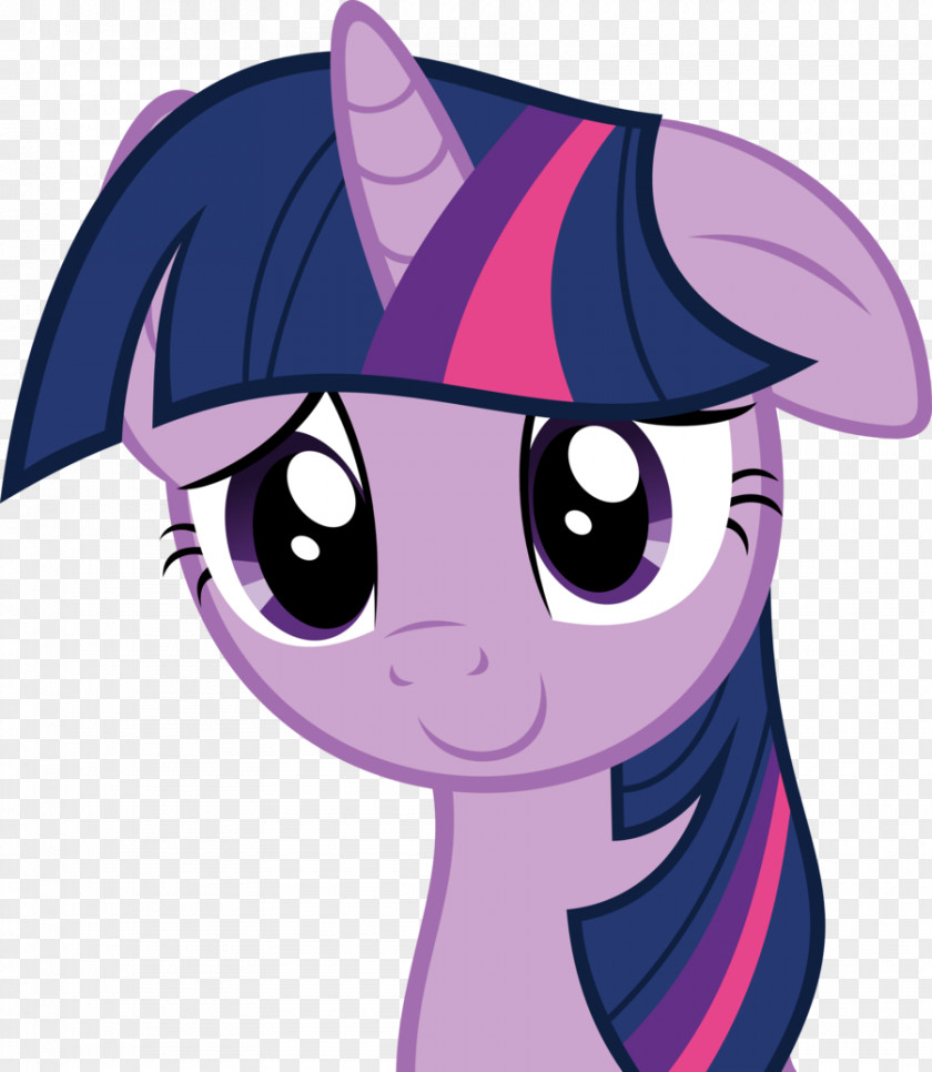 Horse Twilight Sparkle Pony Rainbow Dash Pinkie Pie Rarity PNG
