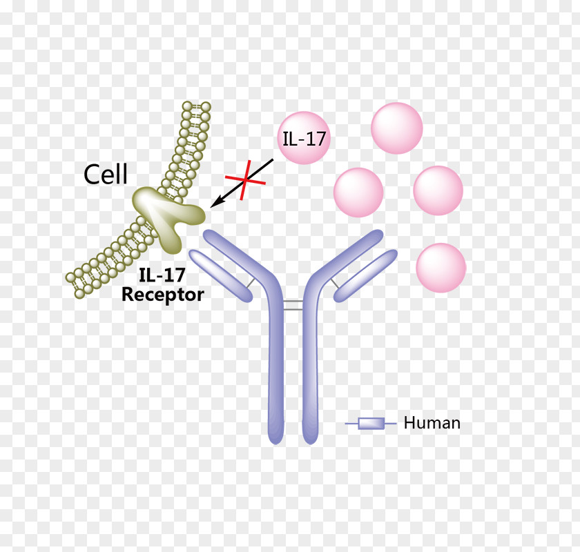 MoÃ±o Vector Daclizumab Brodalumab Multiple Sclerosis Psoriasis Ixekizumab PNG