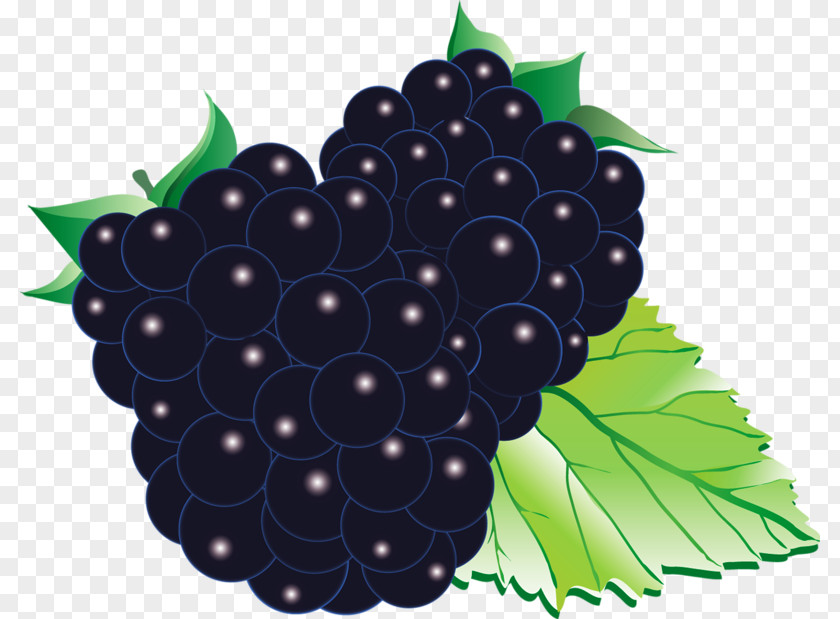 Raspberry Grape Black Mulberry Blackberry Red Fruit PNG