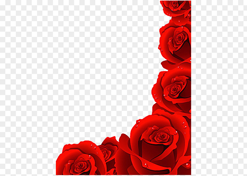 Red Rose Petals Vector Material Royalty-free Clip Art PNG