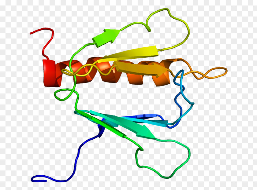 Transcription Factor II H GTF2H1 Protein Complex Gene PNG
