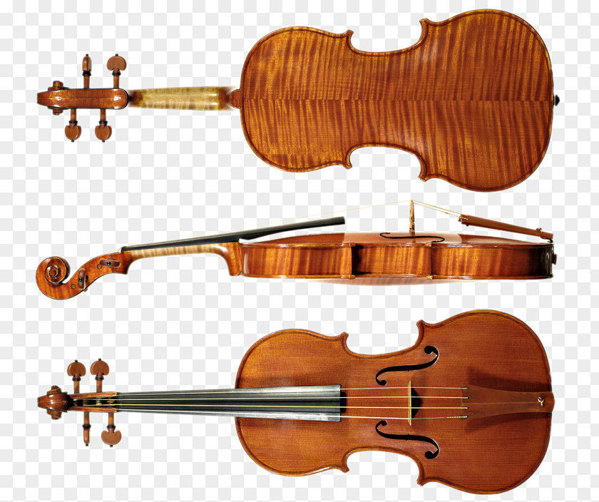 Violin Musical Instruments String Musician PNG