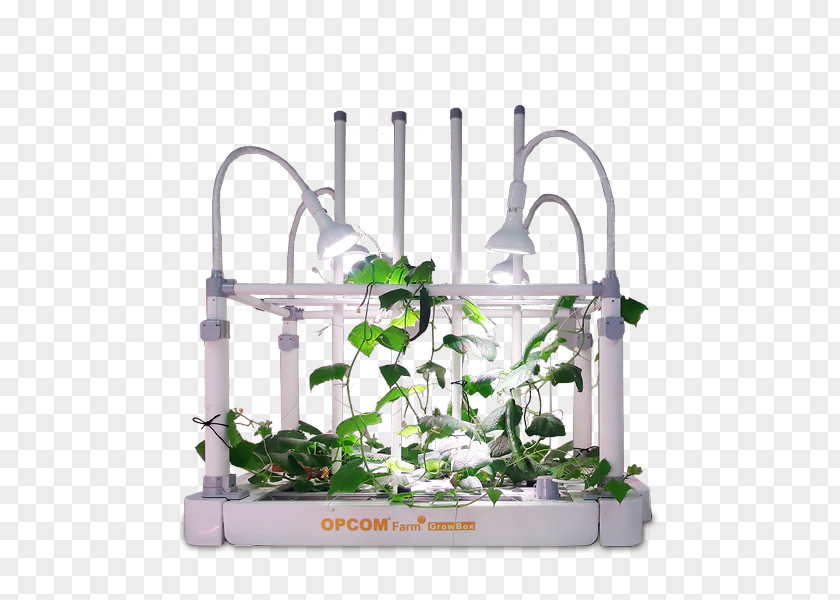 Automated Hydroponic Grow Boxes Plants PNG