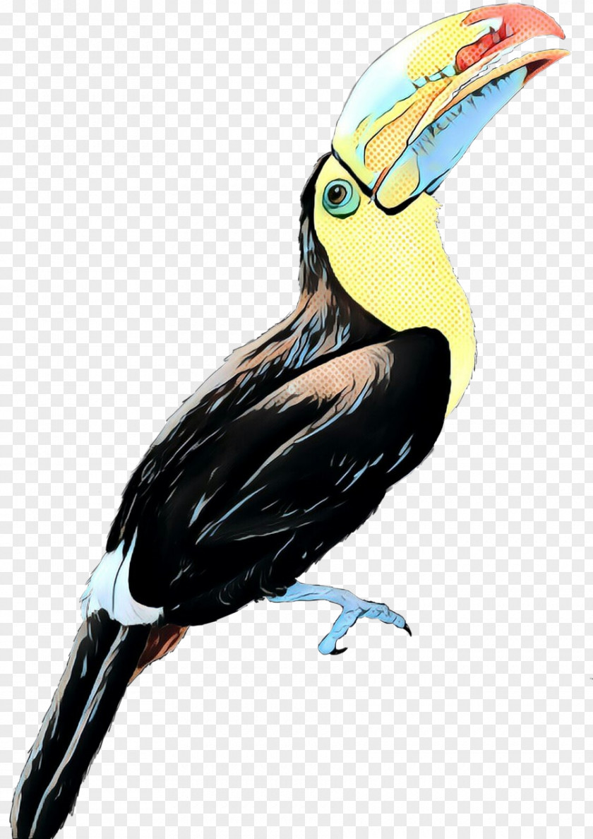 Coraciiformes Yellowthroated Toucan Hornbill Bird PNG