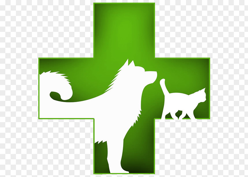 Dog VELLCAN CLINICA VETERINARIA Y PELUQUERÍA CANINA / FELINA Kitten Pet Veterinary Medicine PNG