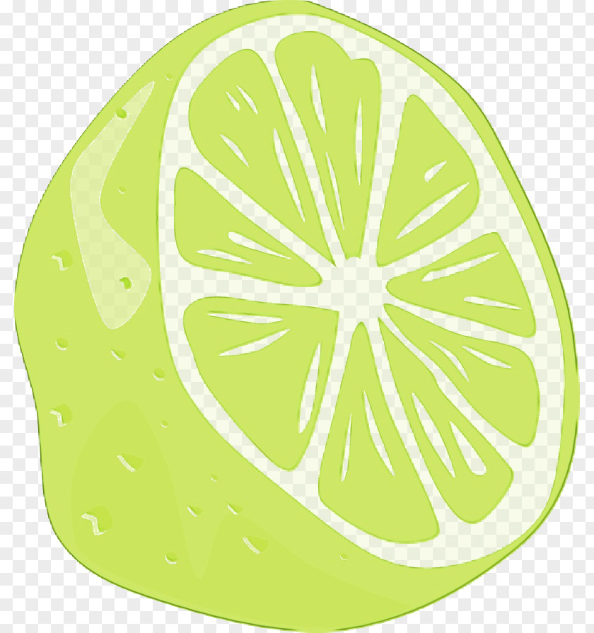 Grapefruit Plant Green Citrus Yellow Leaf Lemon PNG