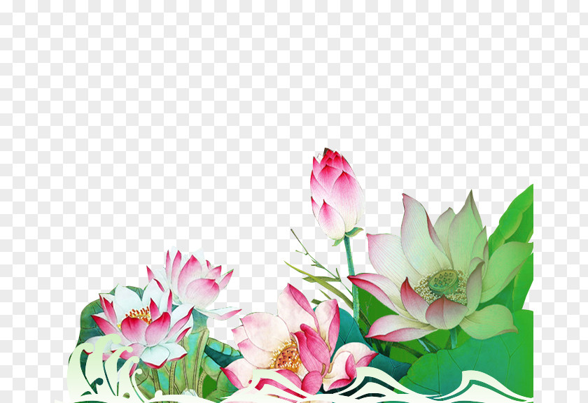 Ink Lotus Leaf Aquatic Plant PNG