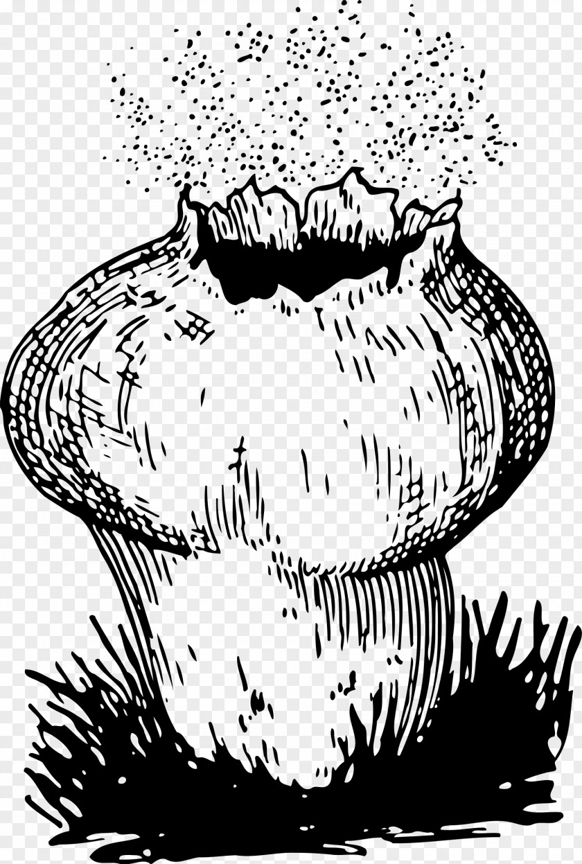 Mushrooms Spore Fungus Mushroom Puffball Asexual Reproduction PNG