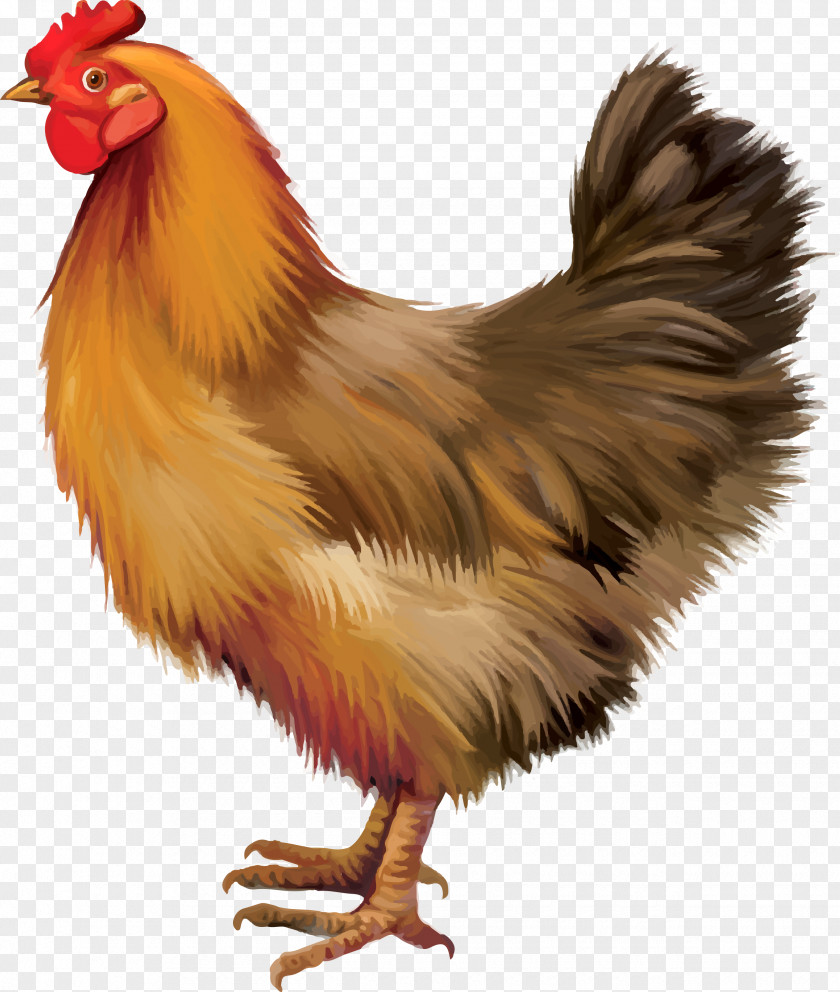 Vector Painted Loess Chicken Rooster PNG