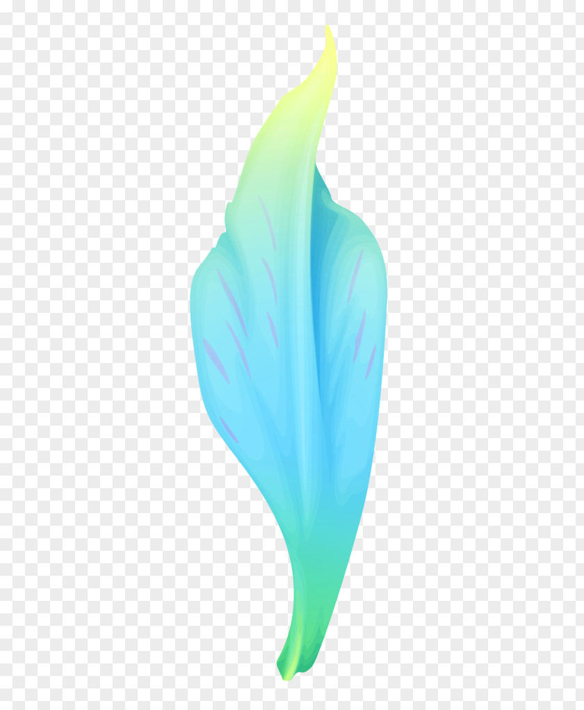 A Flower Petal Green PNG