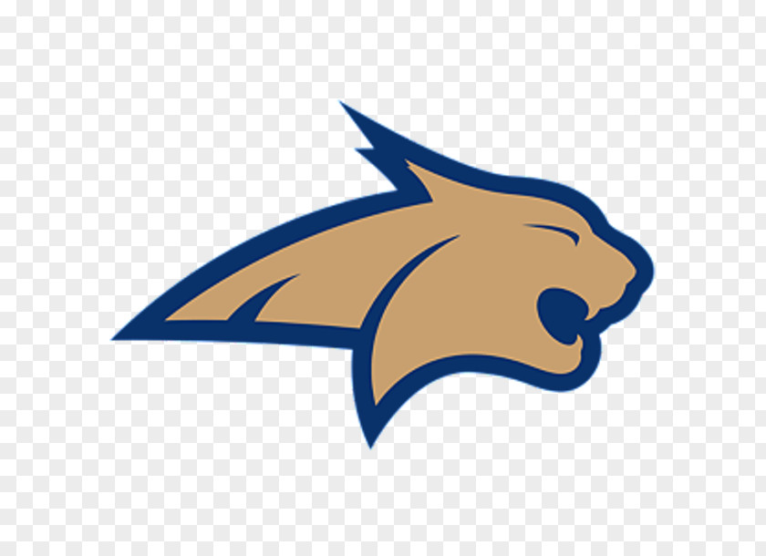 American Football Montana State Bobcats Men's Basketball Bobcat Stadium Grizzlies Utah Utes PNG