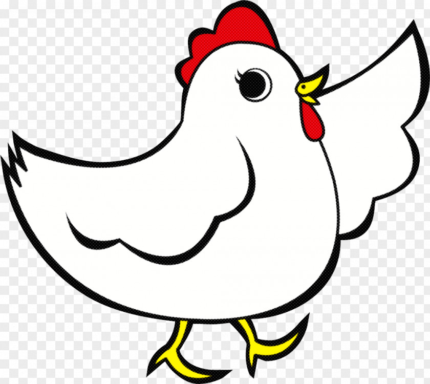Bird White Beak Chicken Cartoon PNG