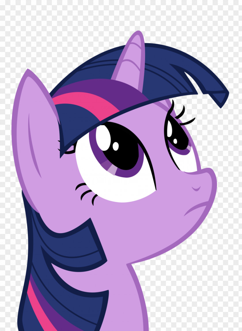 Cat Twilight Sparkle Pony Spike Rarity PNG