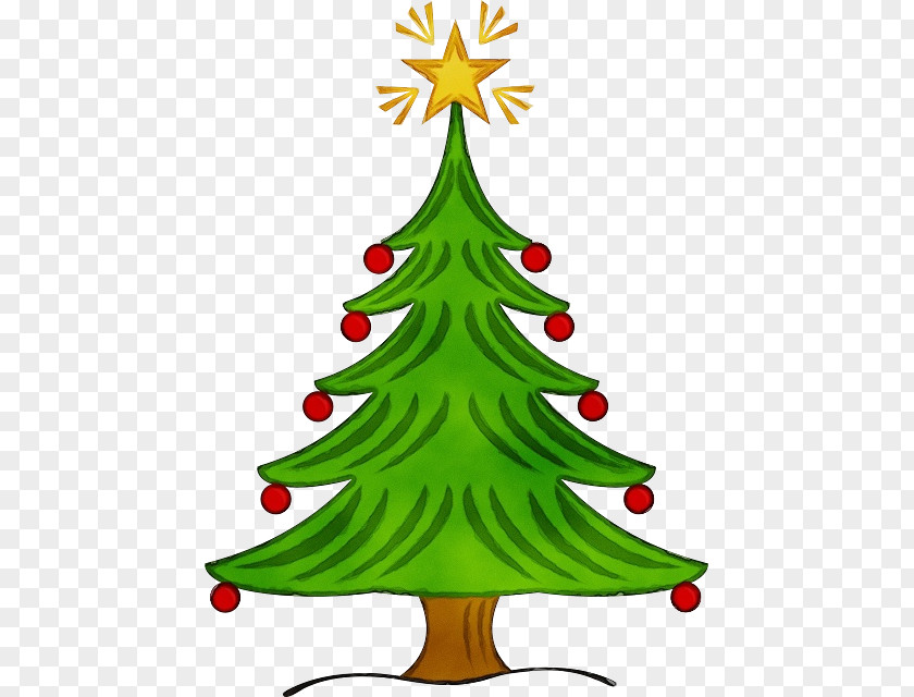 Christmas Eve Evergreen Tree PNG