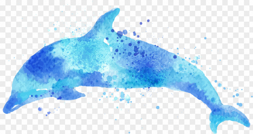 Dolphin Drawing Watercolor Painting Illustration PNG