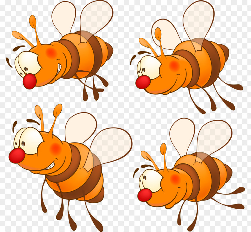 Insect Hornet Honey Bee Bumblebee Drawing PNG