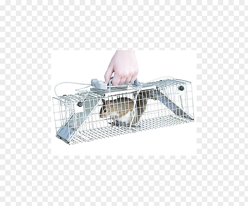 Mouse Trap Mousetrap Cage Trapping PNG