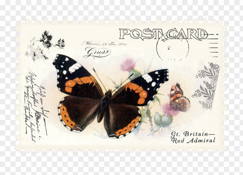 Nymphalis Label Monarch Butterfly Drawing PNG