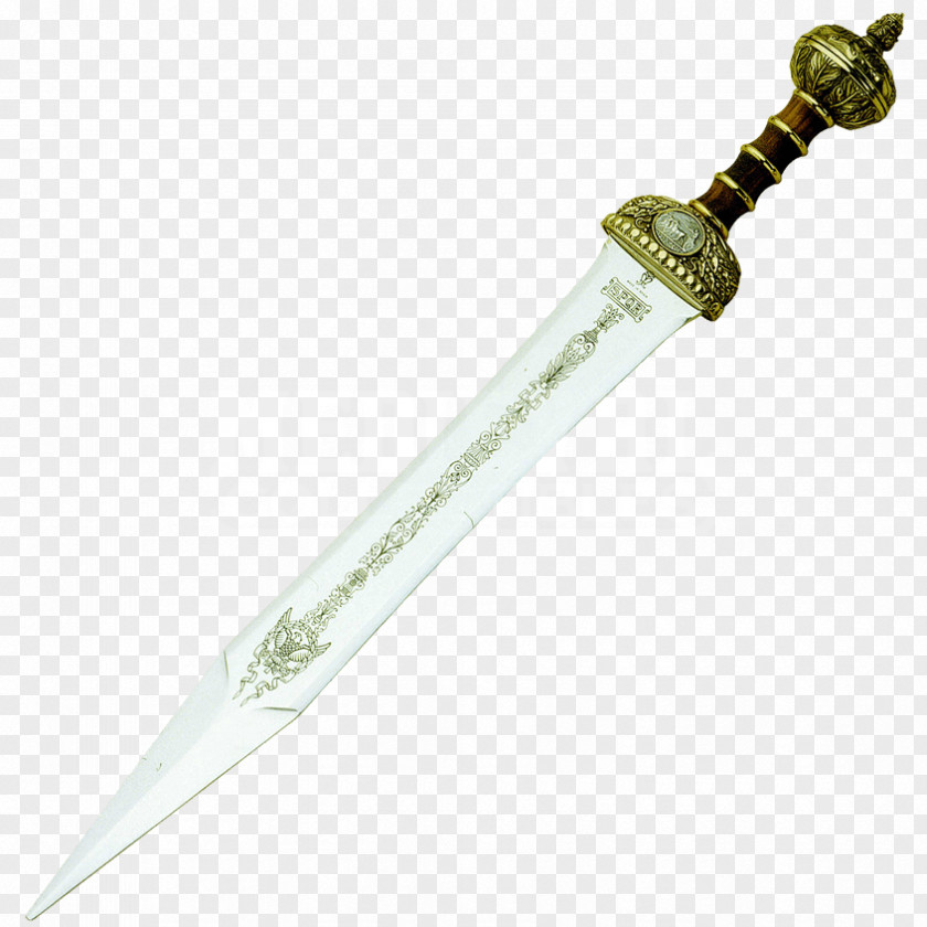 Sword Ancient Rome Gladius Weapon Spatha Gladiator PNG