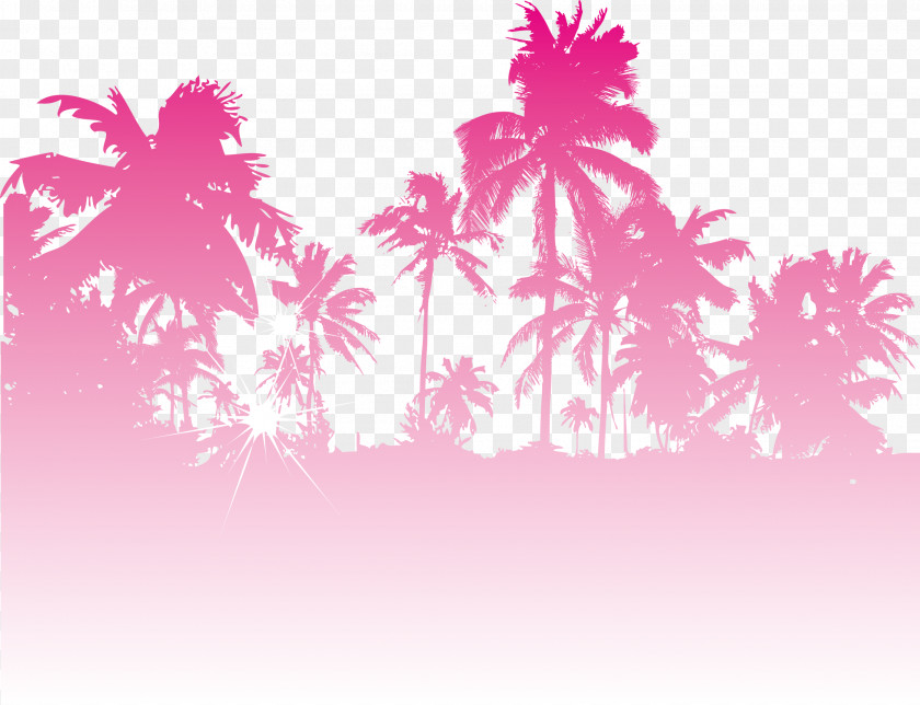 Vector Coconut Trees Euclidean Illustration PNG
