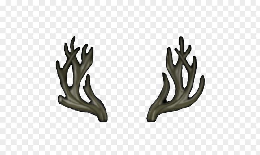 Deer Antler Product Design PNG