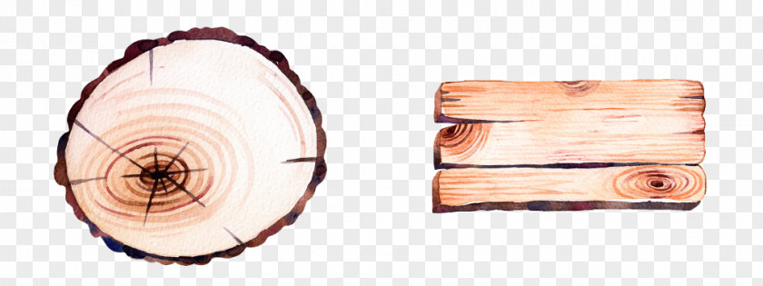 Wood Grain Effect Element Tree PNG