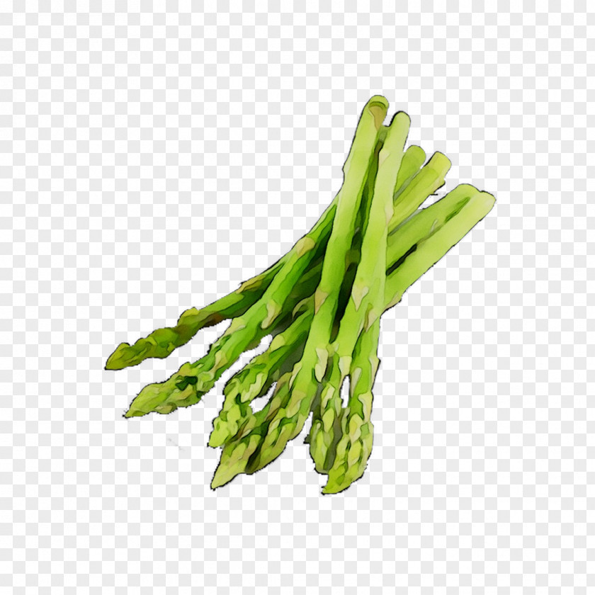 Asparagus Vegetarian Cuisine Greens Vegetable Green Bean PNG