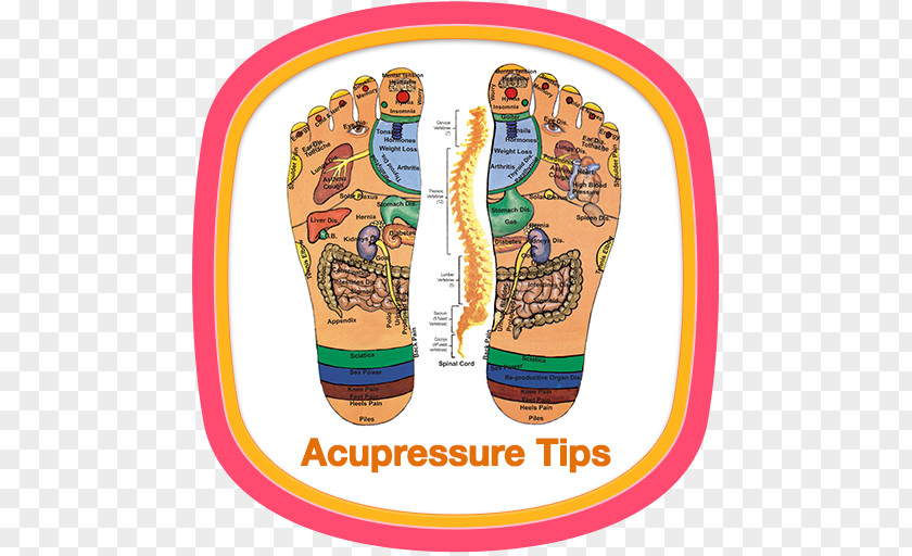 Hand Acupuncture Acupressure Reflexology Meridian Therapy PNG