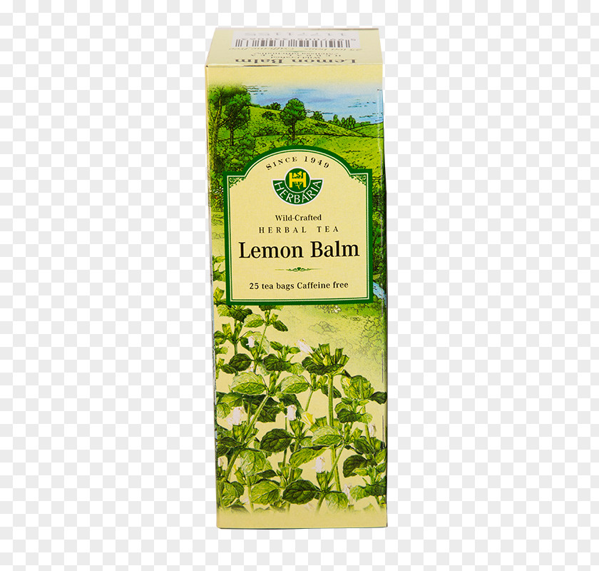 Lemon Balm Flowering Tea Herb Hibiscus Green PNG