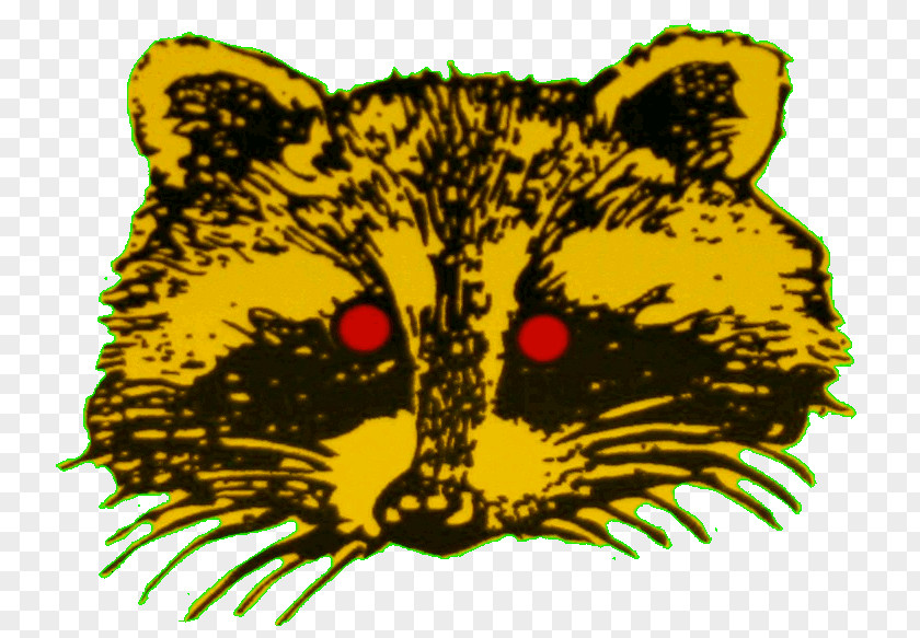 Light Whiskers Bright Eyes Lights Raccoon Tiger PNG