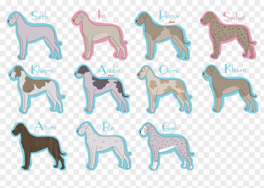 Puppy Dog Breed Sporting Group Font PNG