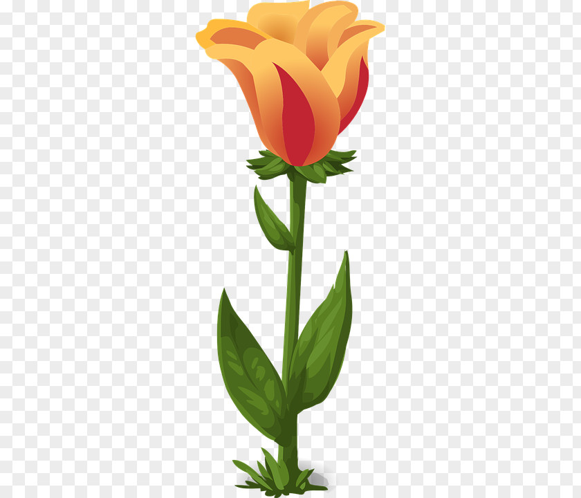 Растения Tulip Image File Formats Clip Art PNG