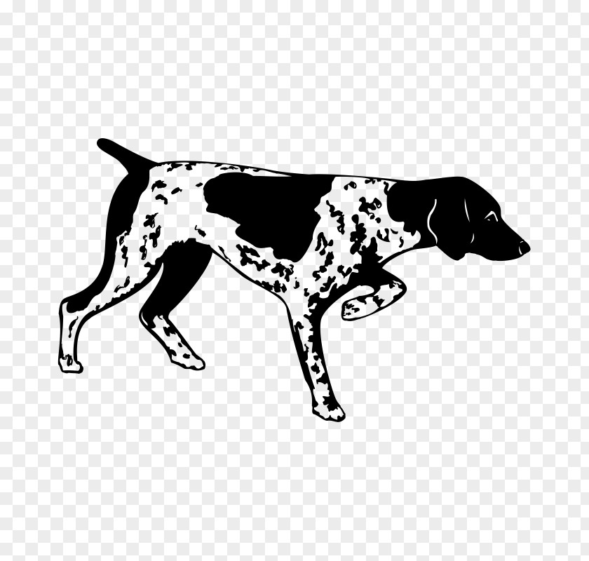 Pointer DOG German Shorthaired Decal Pointing Breed Bird Dog PNG
