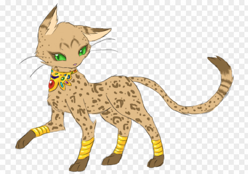 Cheetah Whiskers Cat Clip Art PNG