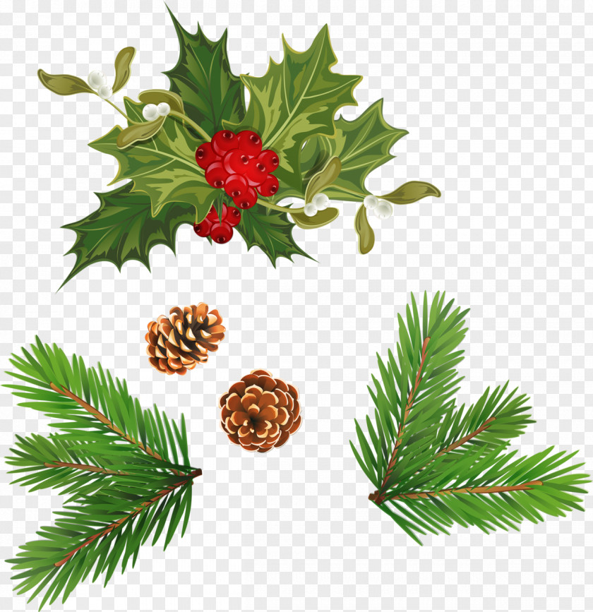 Christmas Ornament Spruce Advent Wreath PNG