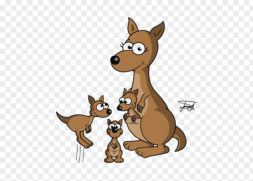 Kangaroo Cartoon Drawing Model Sheet PNG