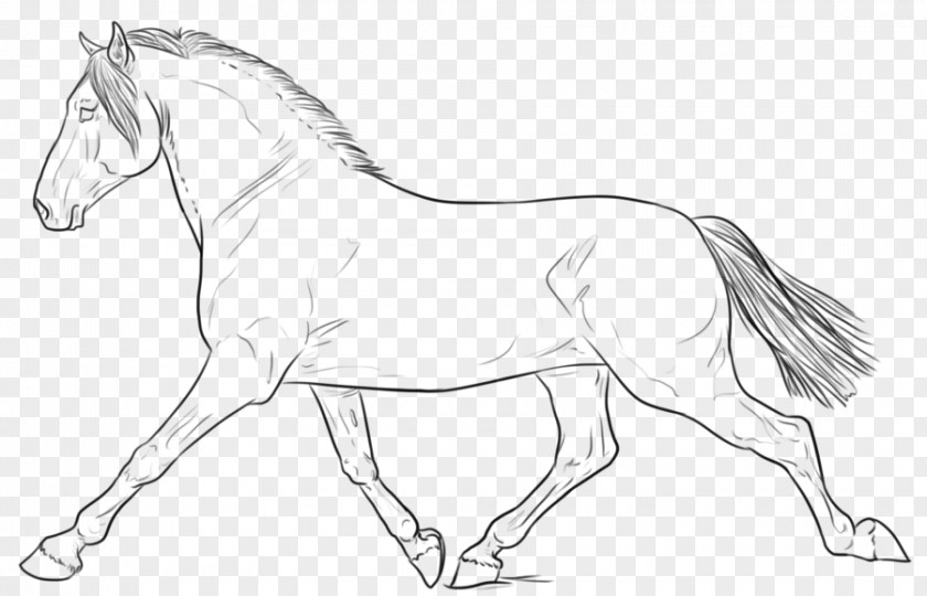 Lining Body Line Art Horse Drawing Sketch PNG