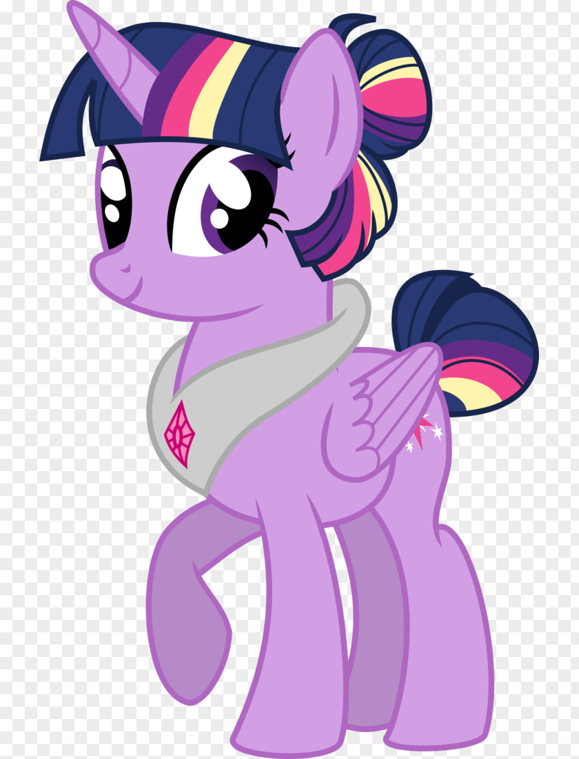 Sparkle Twilight Princess Cadance Fluttershy Pony Horse PNG