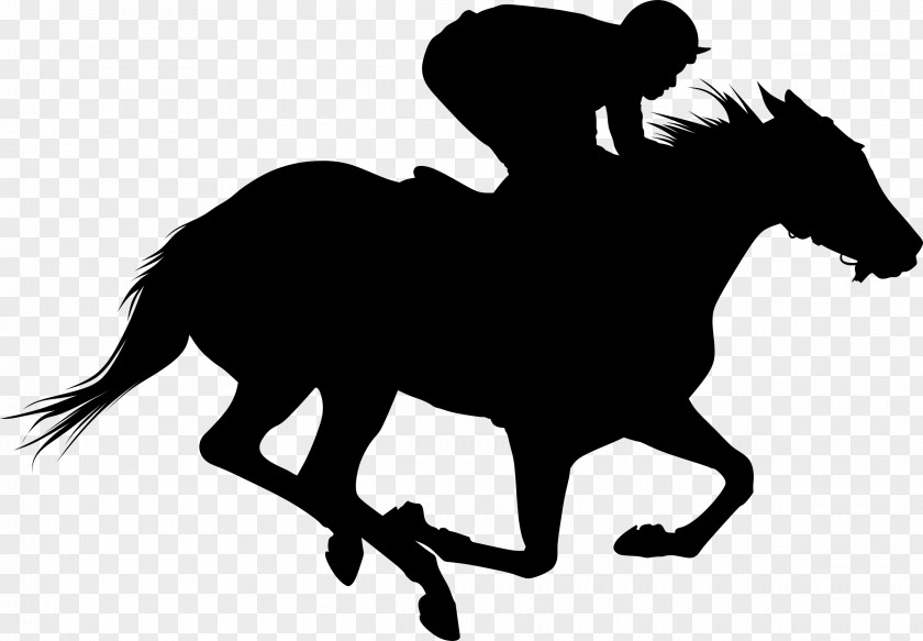 Thoroughbred The Kentucky Derby Horse Racing Equestrian Clip Art PNG