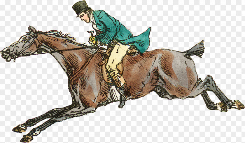Individual Sports Drawing Horse Cartoon PNG