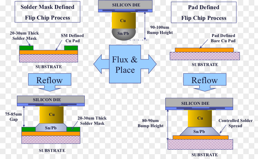 Line Organization Web Page PNG