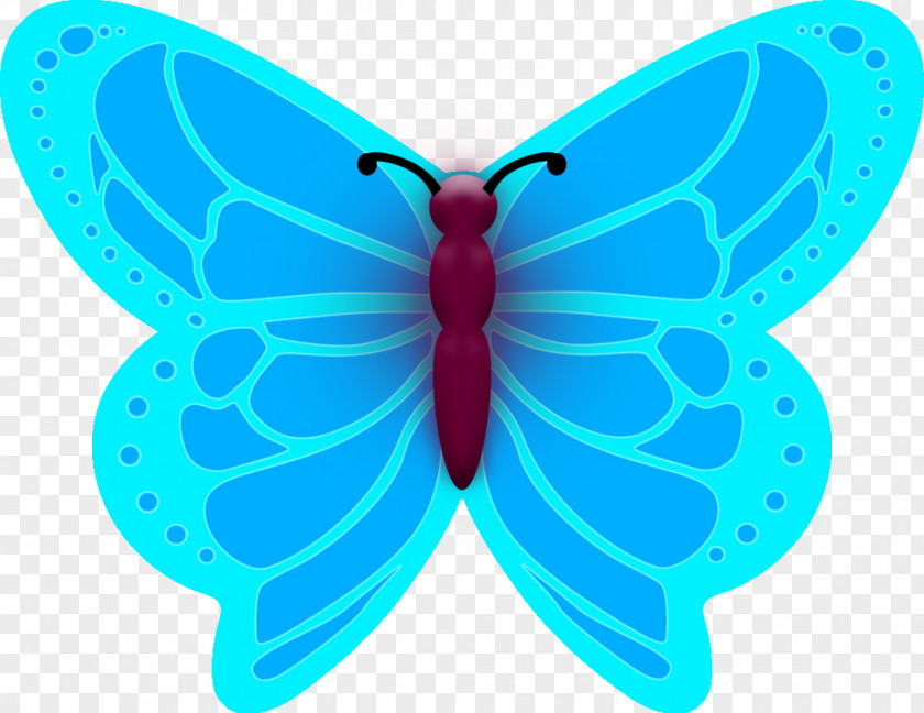 Set Multi Color Moth Turquoise Symmetry Microsoft Azure PNG