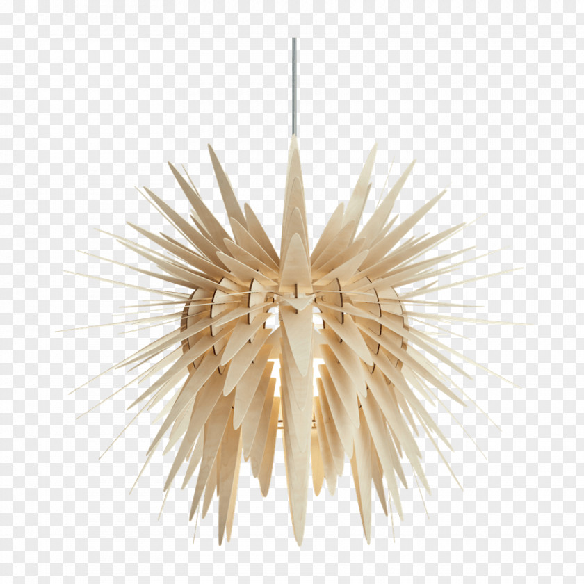 Wood Pendant Light Chandelier Fixture Lamp Shades Lighting PNG
