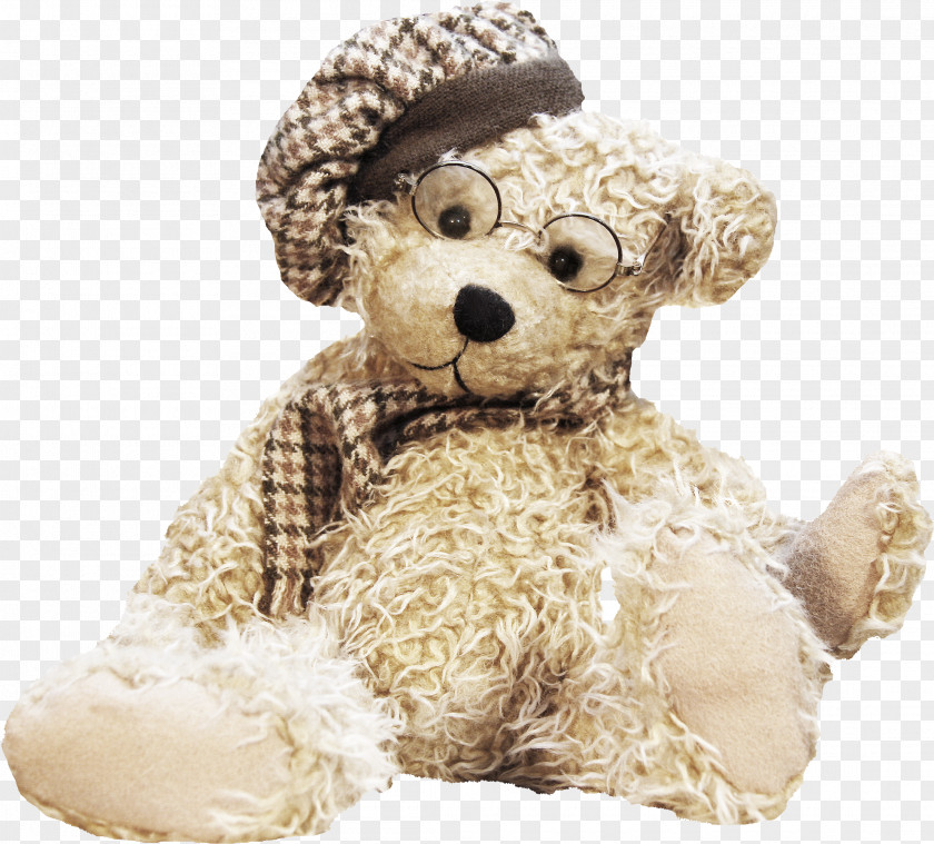 Brown Bear SGUL Teddy Hospital Stuffed Toy PNG bear toy, Creative clipart PNG