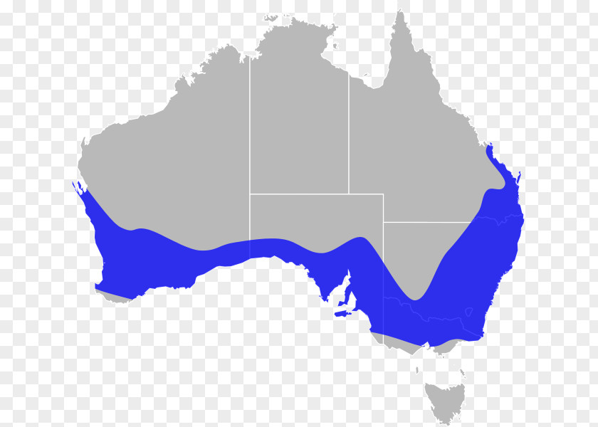 DISTRIBUTION Northern Territory Perth Australian Capital Vector Map PNG