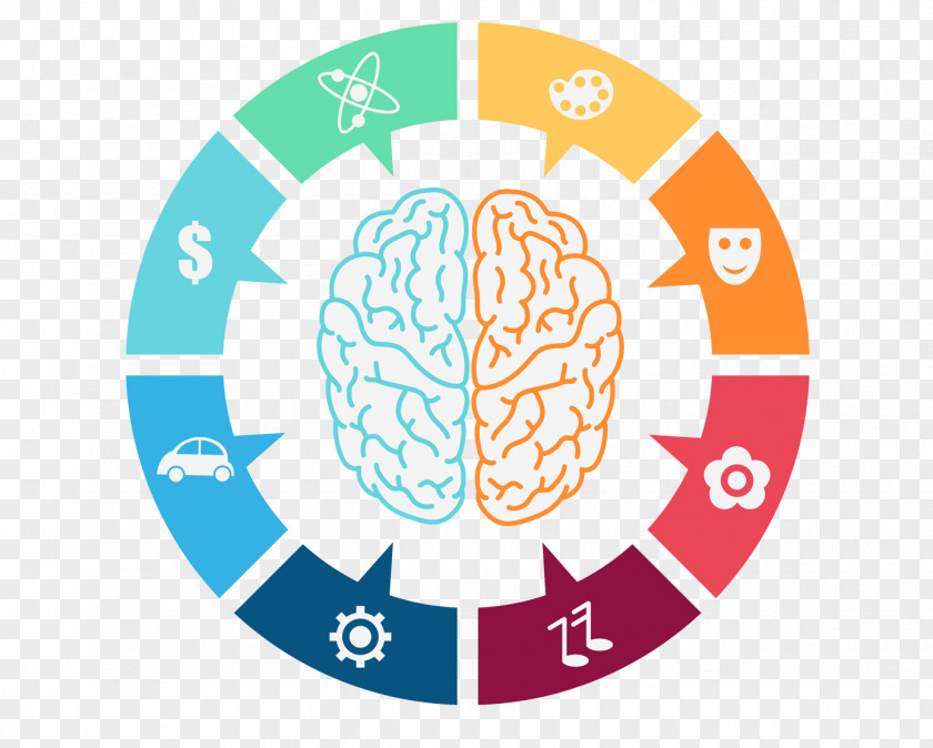 Dynamic Lateralization Of Brain Function Clip Art PNG